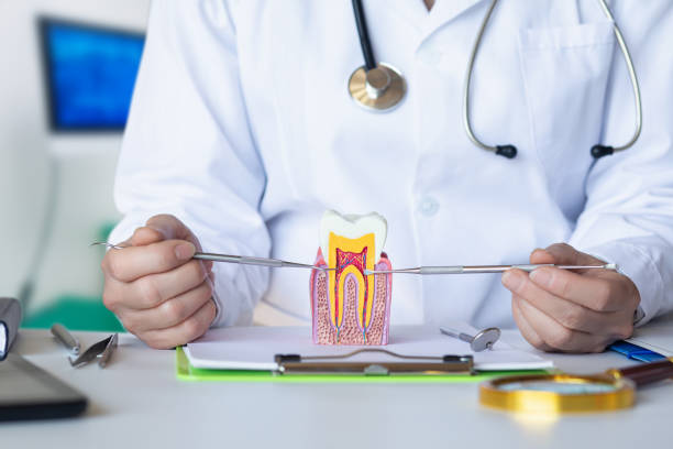 Best Chipped Tooth Repair Near Me  in Picture Rocks, AZ